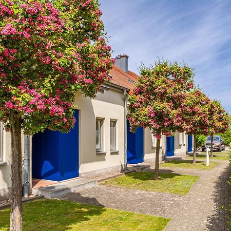 Apartment Biber Mit Terrasse Dewichow Exteriér fotografie