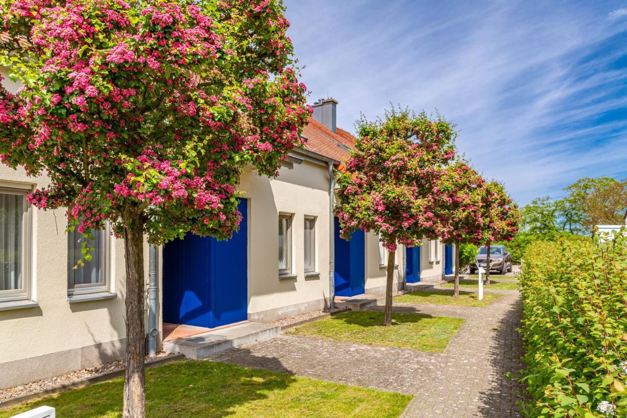 Apartment Biber Mit Terrasse Dewichow Exteriér fotografie